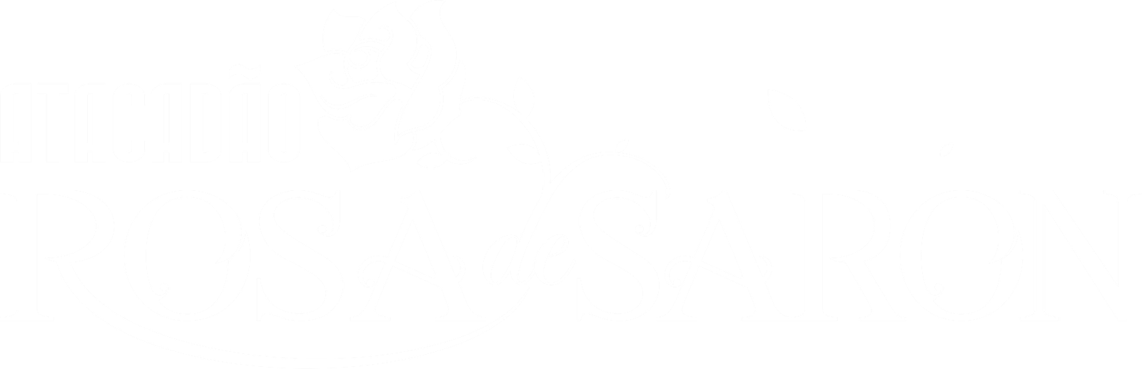 Camada 8